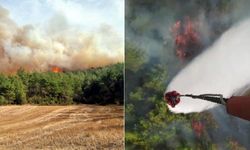 Çanakkale ve Muğla'da korkutan orman yangınları