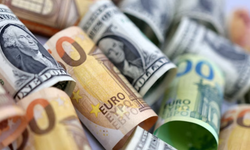 Faiz kararı sonrası dolar ve euroda son durum nasıl?