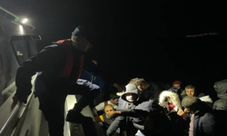 Muğla Bodrum'da 84 düzensiz göçmen gece saatlerinde yakalandı
