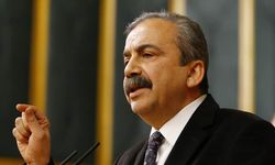 Sırrı Süreyya Önder'in yargı sürecine ara verildi