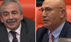 Sırrı Süreyya Önder, Meclis'i yine kahkahaya boğdu: Mahmut Tanal'a bomba yanıt