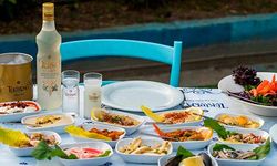 Tekirdağ Rakı Fiyatları, Rakı Yanında Ne İyi Gider?