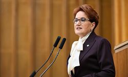 Meral Akşener'den bomba sözler: 'Çakalların hükmü kurt ayağa kalkana kadardır'