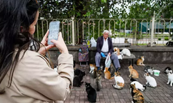 Hüseyin Karaağaç emekli maaşınla 800 kediyi besliyor!