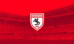 Samsunspor'a iki dönem transfer yasağı getirildi