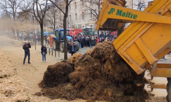 Fransız çiftiler, hükûmet binası önüne hayvan gübresi döktü