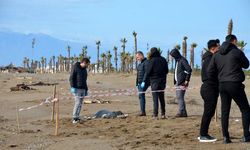 Antalya'da sahildeki ceset sayısı 8'e yükseldi! Valilik sebebini açıkladı