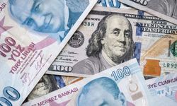 Dolar rekorunu yeniden kırdı: 31 lirayı da aştı!