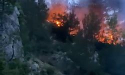 Osmaniye'de korkutan orman yangını!