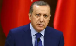Erdoğan'ın eski metin yazarı: Hücum eden asalaklar, AK Parti'de dengeyi bozdu