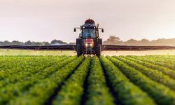 TÜİK tarım enflasyon verilerini açıkladı: Nisan ayında yüzde 60,77 yükseldi!