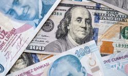 Merkez Bankası açıkladı! İşte yıl sonu dolar, enflasyon ve faiz tahmini