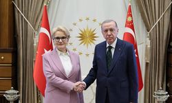 Meral Akşener'in Erdoğan'ı ziyareti için yeni iddia! Çok şaşırtıcı bir durum