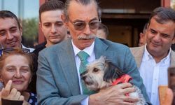 Erdal Beşikçioğlu'ndan dikkat çeken sokak köpekleri kararı