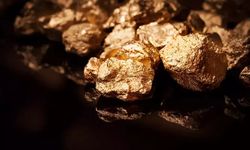 Erdemir Madencilik, Sivas'ta altın madeni buldu: Erdemir Madencilik kimindir?