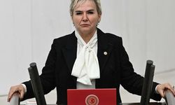 İyi Parti'de istifalar dinmiyor! İstanbul Milletvekili Nimet Özdemir görevi bıraktı