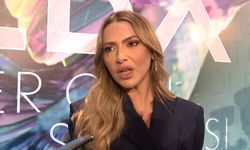 "Yenidoğan Çetesi" olayı: Hadise, devlete seslendi