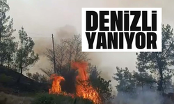 Denizli yanıyor