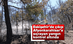 Eskişehir'de çıkıp, Afyonkarahisar'a sıçrayan yangın kontrol altında
