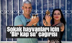 Sokak hayvanları için 'Bir kap su' çağırısı