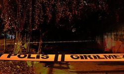 Bakan Gürlek duyurdu: 3 aydır kayıp olan Aysel cinayete kurban gitmiş!