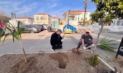 Foça’da kent estetiği hamlesi: Merkez ve Yenifoça’da büyük dönüşüm