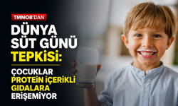TMMOB'dan 'Dünya Süt Günü' tepkisi: Çocuklar protein içerikli gıdalara erişemiyor