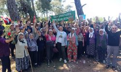 Danıştay’dan Akbelen’deki acele kamulaştırmaya "yürütmeyi durdurma" kararı!