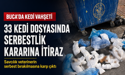 Buca’da 33 kedi ölü bulunmuştu: Veterinerin serbest kalmasına savcılıktan itiraz
