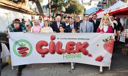 Emiralem Çilek Festivali'ne görkemli açılış: Derya Bedavacı sahnede devleşti