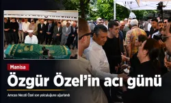 Bornova’da yok olduğu sanılan lale yeniden gün yüzüne çıktı