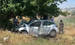 İzmir'de otomobil ağaca çarptı, 4 kişi ağır yaralandı!