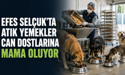Efes Selçuk’ta otellerden toplanan atık yemekler can dostlarına mama oluyor