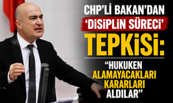 CHP'li Bakan'dan 'disiplin süreci' tepkisi: Hukuken alamayacakları kararları aldılar