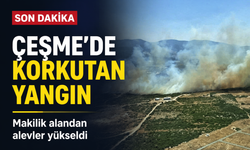 Çeşme’de korkutan yangın: Makilik alandan alevler yükseldi!