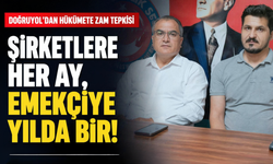 Doğruyol'dan hükümete zam tepkisi: Şirketlere her ay, emekçiye yılda bir!