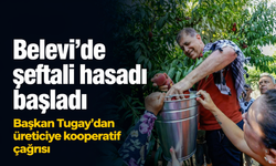 Belevi’de şeftali hasadı başladı: Başkan Tugay'dan üreticiye kooperatif çağrısı