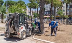 İzmir’de Şirinyer Parkı yeniden halkın olacak: İşgal edilen alanlar tahliye edildi