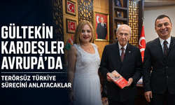 İzmirli akademisyen Gültekin kardeşler Terörsüz Türkiye sürecini Avrupa’da anlatacak