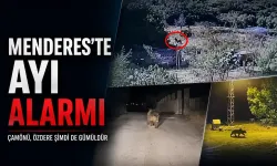 Menderes'te ayı alarmı: Çamönü, Özdere ve Gümüldür'de peş peşe saldırı ihbarı geldi