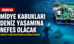 Sığacık’ta doğa dostu resifler denizle buluştu: Atık midye kabuklarından İzmir kıyılarına yeni yaşam alanı
