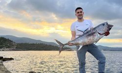İzmir'de inanılmaz av: Kıyıdan dev orkinos yakaladılar!