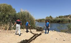 Aliağa’da kaçak avcılığa darbe: 50 metrelik ağ çıkarıldı