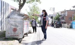 Bayraklı’da sivrisinek alarmı: Ekipler sahaya indi, park ve sokaklar ilaçlanıyor