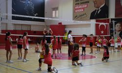 Bayraklı'da yaz ayları sporla geçecek: 14 branşta ücretsiz eğitim!