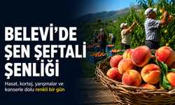 Efes Selçuk’ta şeftali şöleni: Belevi'de hasattan konsere dolu dolu program