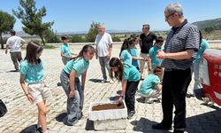 Bergama'da doğa dostu adım: Atık yemekler mamaya dönüştü