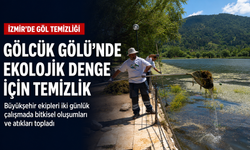 İzmir Büyükşehir Gölcük Gölü’ndeki deniz marullarını temizledi