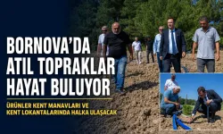 Bornova’da atıl arazi üretime açıldı: Domates, biber ve patlıcanlar Kent Manavları’na gidecek