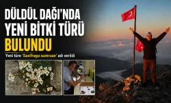 Ege Üniversitesi akademisyeni Düldül Dağı’nda keşfettiği yeni türe eşinin adını verdi: Sumru